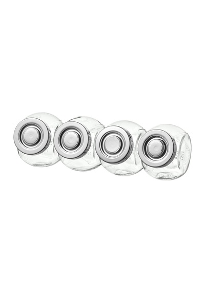 4 Adet Baharat Kavanozu Meridyendukkan Cam-gümüş Kapak 15 Cl Cam Kavanoz