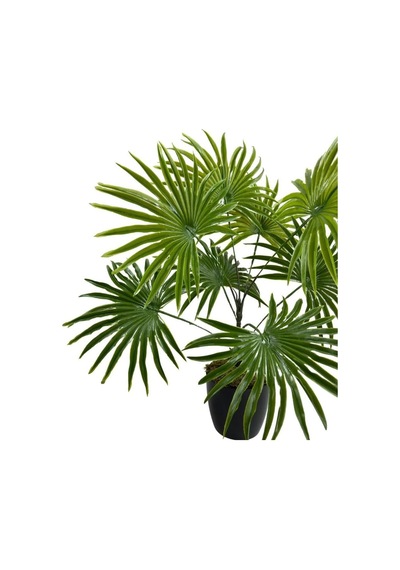 Nettenevime Yapay Çiçek Yelpaze Palmiye 8 Dal 50 40cm Salon Çiçeği Plastik Siyah Saksılı Yapay Bitki Diğer