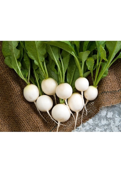 Beyaz Turp Tohumu 25 GR