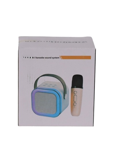 Emr-102 Kutulu 2li Karaoke Mikrofon Standart