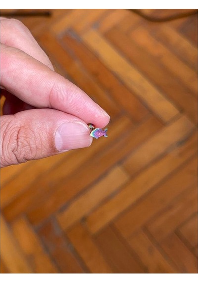 Cerrahi Çelik Tragus Helix Kıkırdak Conch Minimal Balık Piercing Renkli