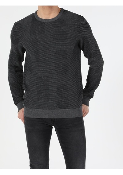 Colin's Slim Fit Bisiklet Yaka Erkek Antrasit Kazak CL1051569_Q1.V1_ANT