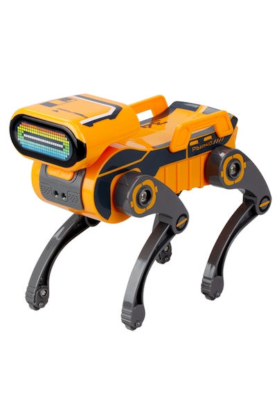 Robot Köpek Robo Dog Teslimat Robotu