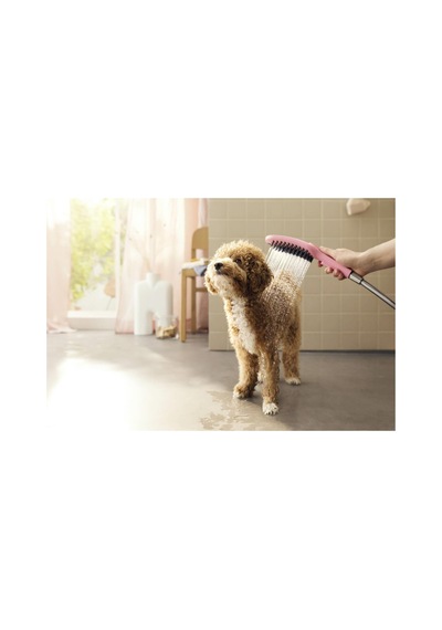 Hansgrohe Dogshower 150 3Jet Beyaz 26640700 Diğer