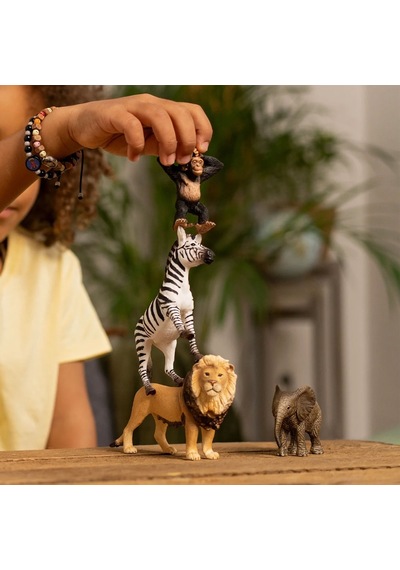 Schleich Afrika Başlangıç Seti 42721