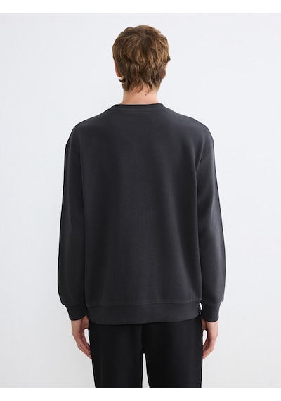 Lcw Vision Antrasit Regular Fit Bisiklet Yaka Erkek Sweatshirt