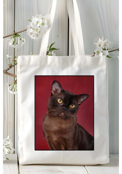 Art Hediye Havana Kedi Baskılı Omuz Çanta Kişiye Özel Model 4 Çok Renkli