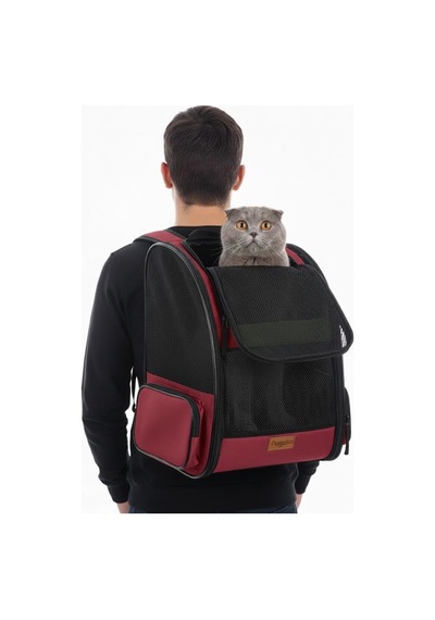 Airmove Premium Kedi Köpek Taşıma Çantası, Silinebilir, Yırtılmaz Fileli, Bükülmez Gövde, Sırt Çantası Tipi