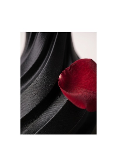 Aura Vazo 20cm - Modern Estetik Tasarım Dekoratif Ev Ofis Salon Dekorasyonu İçin Şık Obje - Minimalist Tasarım Çiçeklik Masa Üstü Süs Eşyası Siyah Aura Vazo 20cm - Modern Estetik Tasarım Dekoratif Ev Ofis Salon Dekorasyonu İçin Şık Obje - Minimalist Tasarım Çiçeklik Masa Üstü Süs Eşyası Siyah