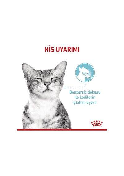 Royal Canin Sensory Feel Gravy Pouch Yetişkin Kedi Maması 85 G
