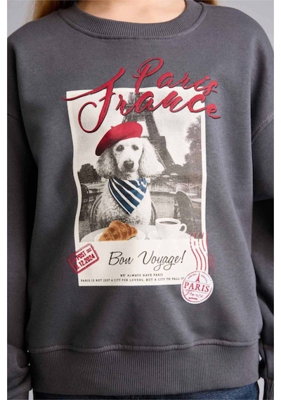 Defacto Relax Fıt Bisiklet Yaka Baskılı Sweatshirt Kız Çocuk E6759a826spar58 Antrasit-ar58