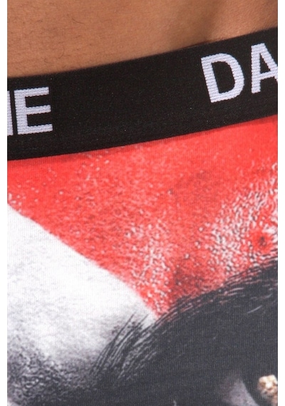 Darkzone 3D Erkek Boxer - Dzn1046
