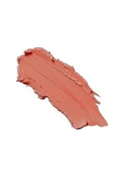 Powder Lipstick No: 105 - Nemlendirici Pudramsı Mat Ruj 0
