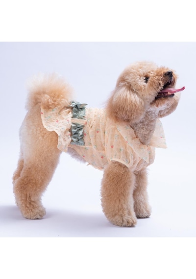Sarı Valencia Çiçek Desenli Elbise Kedi Köpek Elbisesi - Kedi Köpek Kıyafeti