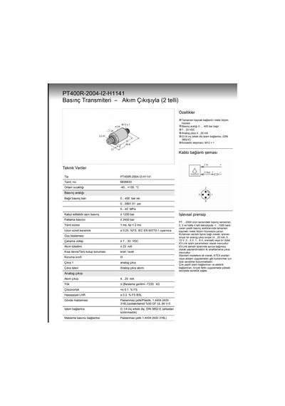 Turck Pt400R-2004-I2-H1141 Basınç Transmiteri 6836633
