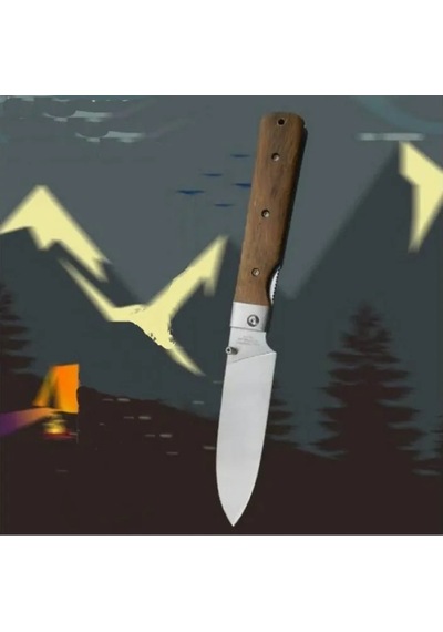 Knives Japon Şef Çakısı 25 Cm , Yarı Otomatik Renkli