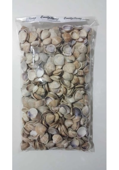 Emilysamy Deniz Kabuğu 500 G