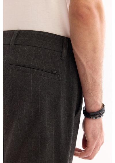Avva Erkek Antrasit Viskon Karışımlı Kolay Ütülenen Çizgili Slim Fit Pantolon A52y3006