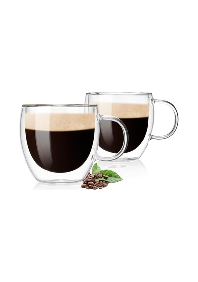 Lexroo Çift Duvarlı Cam Kahve Fincanı 250ml Çok Renkli