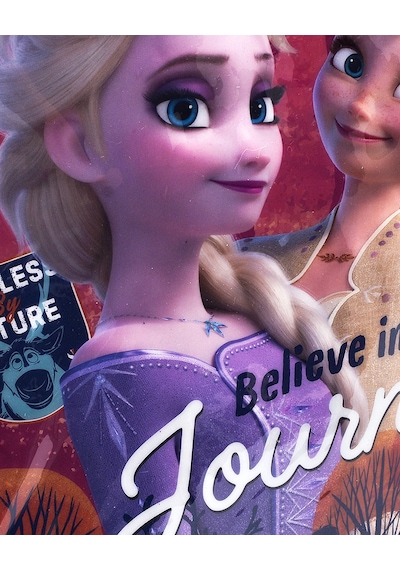 Frozen Hawk Journey Kız Çocuk İlkokul Çantası 41169
