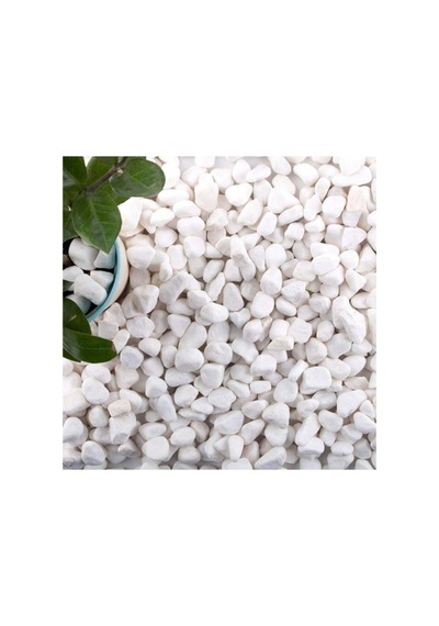 Ekodoğa Dolomit Taş 15 Kg 1-2 Cm Beyaz Dolomit Taş Saksı Dibi Dekoratif Taş Teraryum Taşı Bahçe Taşı
