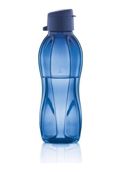 Eco Şişe 500 Ml - Kutup Gecesi Serisi Çevre Dostu, Hafif Ve Taşınabilir Suluk Matara Su Şişesi Lacivert