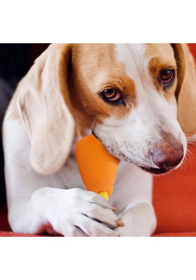 Köpekler İçin Sesli Oyuncak Tavuk Butu Dayanıklı Sesli Köpek Oyuncağı Büyük 14,5cm