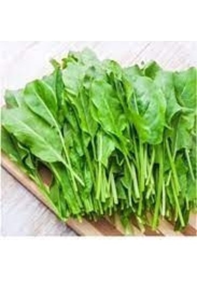 50 Adet Tohum Organik Hobi Balkon Kuzu Kulağı Ekşi Otu Tohumu Org