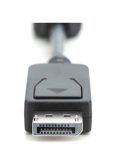 Dıgıtus Dp-hdmı Görüntü Adaptörü 0,15m Ak-340400-001-s -216570