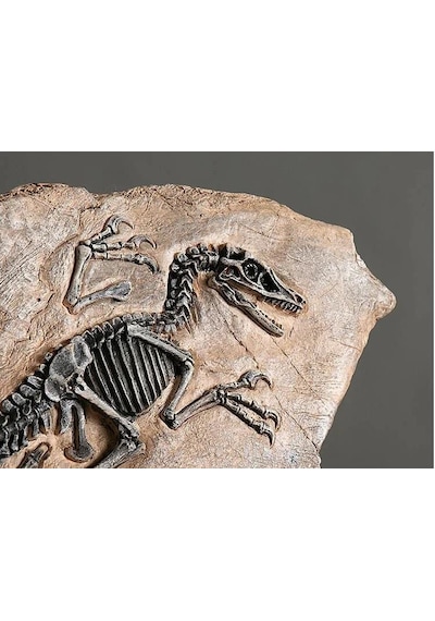 Vintage Dinozor Fosil Reçine Heykeli Retro Tarzda Minyatür Kapalı Alan Dekorasyonu Ve Koleksiyon Parçası Eşsiz Hediyelik Ve Hatıra Objeleri
