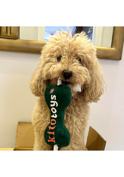 Toys Kemik Peluş Köpek Oyuncağı