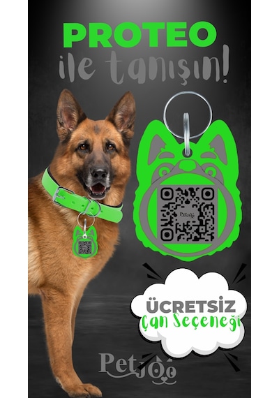 Petjoo 24.Proteo Gri-Yeşil Qr'lı Köpek Künyesi