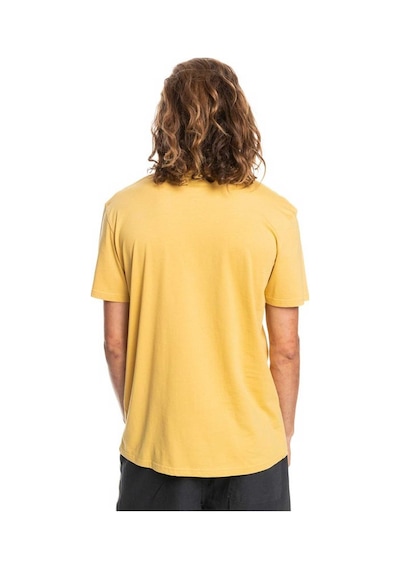 Quiksilver Complogo Erkek Tişört EQYZT06534-YKD0