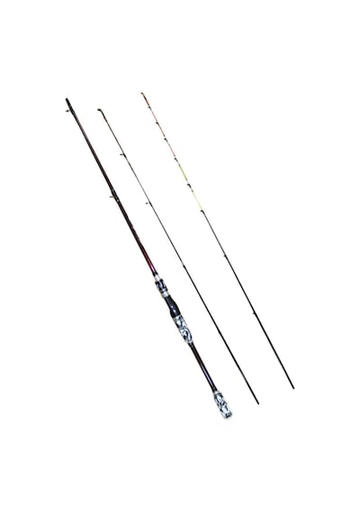 Balza Shanghai 180cm 2 Uçlu 10-40 Ve 1-10 Aksiyonlu Spin Kamış