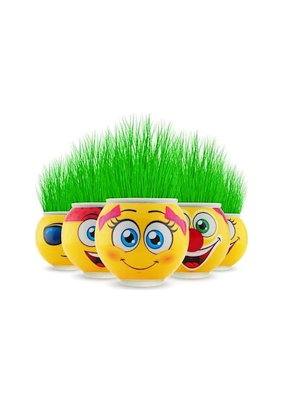 Erbay Çimoji Mini Çim Adam 3 Adet