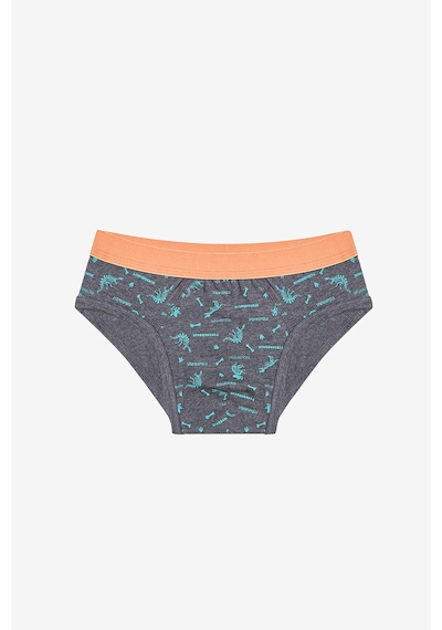 Penti Erkek Çocuk Blue Solid 3lü Çok Renkli Slip Külot Açık Gri