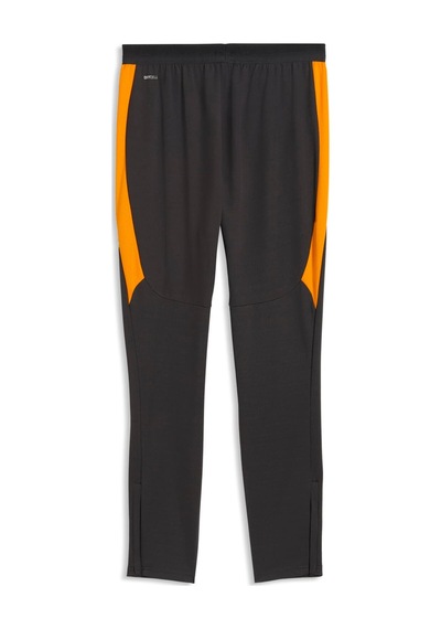 Puma Galatasaray Erkek Antrenman Eşofman Altı 786814 06 Gri