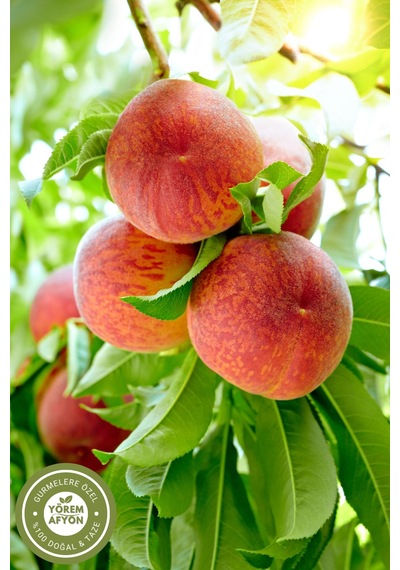 Yörem Afyon Meşhur Bursa Yöresinden %100 Meyve Glütensiz Yaprak Şeftali Kurusu, Cips Prunus Persica 80gr. 80 G