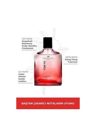 Frannita Tokyo Erkek Parfüm EDP 100 ML