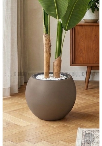 Biçiçek Yapay Starli̇ce 160 Cm 7 Yapraklı Mocha Küre Saksıda