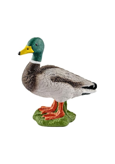 Schleich Erkek Ördek  13824