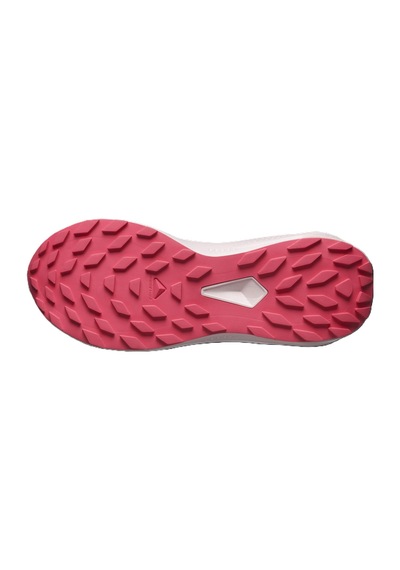 Salomon Alphaglıde Gore-tex Kadın Ayakkabısı L47802300 Çok Renkli