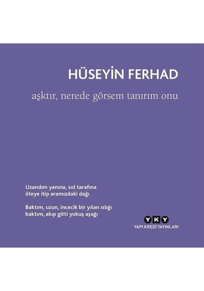Aşktır Nerede Görsem Tanırım Onu - Hüseyin Ferhad - Yapı Kredi Yayınları