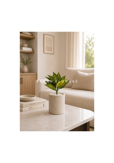 Yapay Çizgili Croton Calathea 48 Cm - Dekoratif Vazo İçi Islak Dokulu Yaprak Dalı Saksısız Çok Renkli