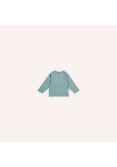 Panço Erkek Çocuk Baskılı Uzun Kollu T-shirt Haki Mint