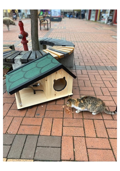Reyo Narım Ahşap Mama Standlı Tırmalama Tahtalı Özel Tasarım Kedi Barınağı, Kedi Barınağı 74x45 Cm