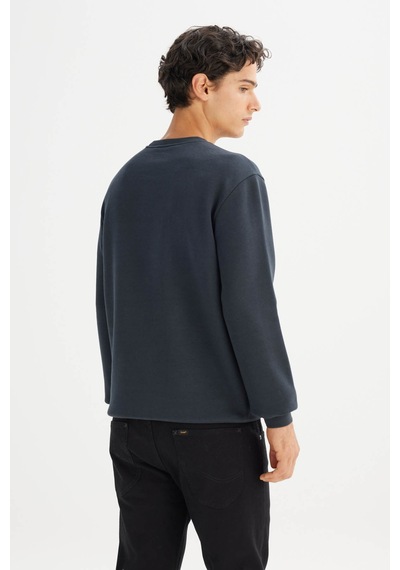 Lee Regular Fit İçi Polarlı Antrasit Erkek Sweatshirt L212299xvd Antrasit