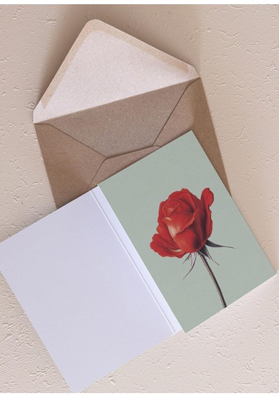 The Mia Art Line Mini Tebrik Kart Seti Rose 10 X 14 Cm