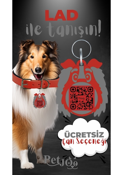 Petjoo 23.Lad Gri-Kırmızı Qr'lı Köpek Künyesi