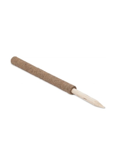 Coconut Bitki Çubuğu - 110 CM